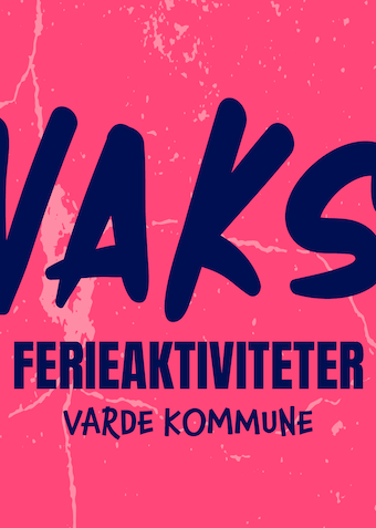 VAKS - GoKart i Bowl´n´Fun Esbjerg - Klik for at tilmelde dig